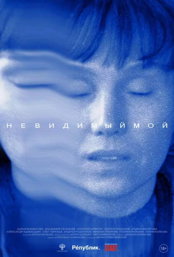 Невидимый мой